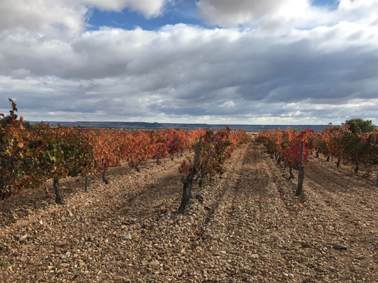 Priorat